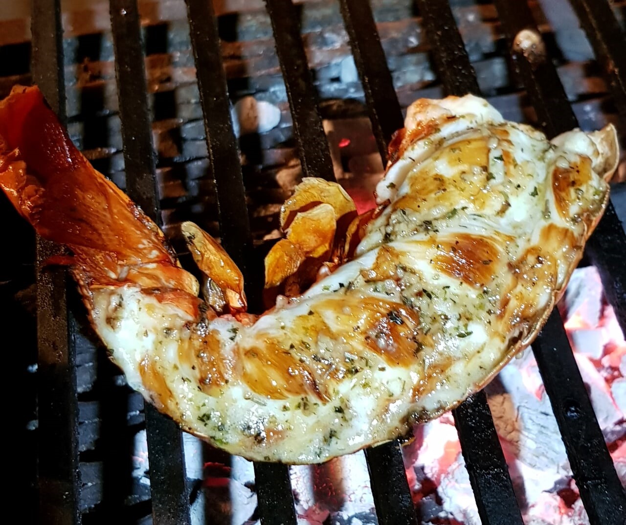 grill2 | JAGRD