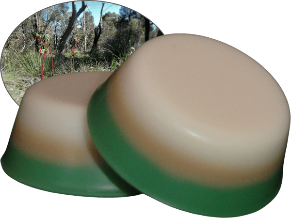 Aussie Bush
