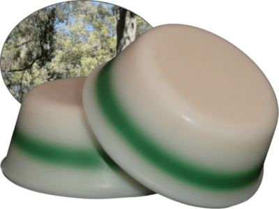 Eucalyptus