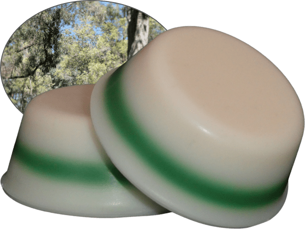 Eucalyptus