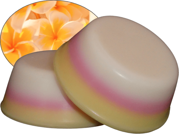 Frangipani